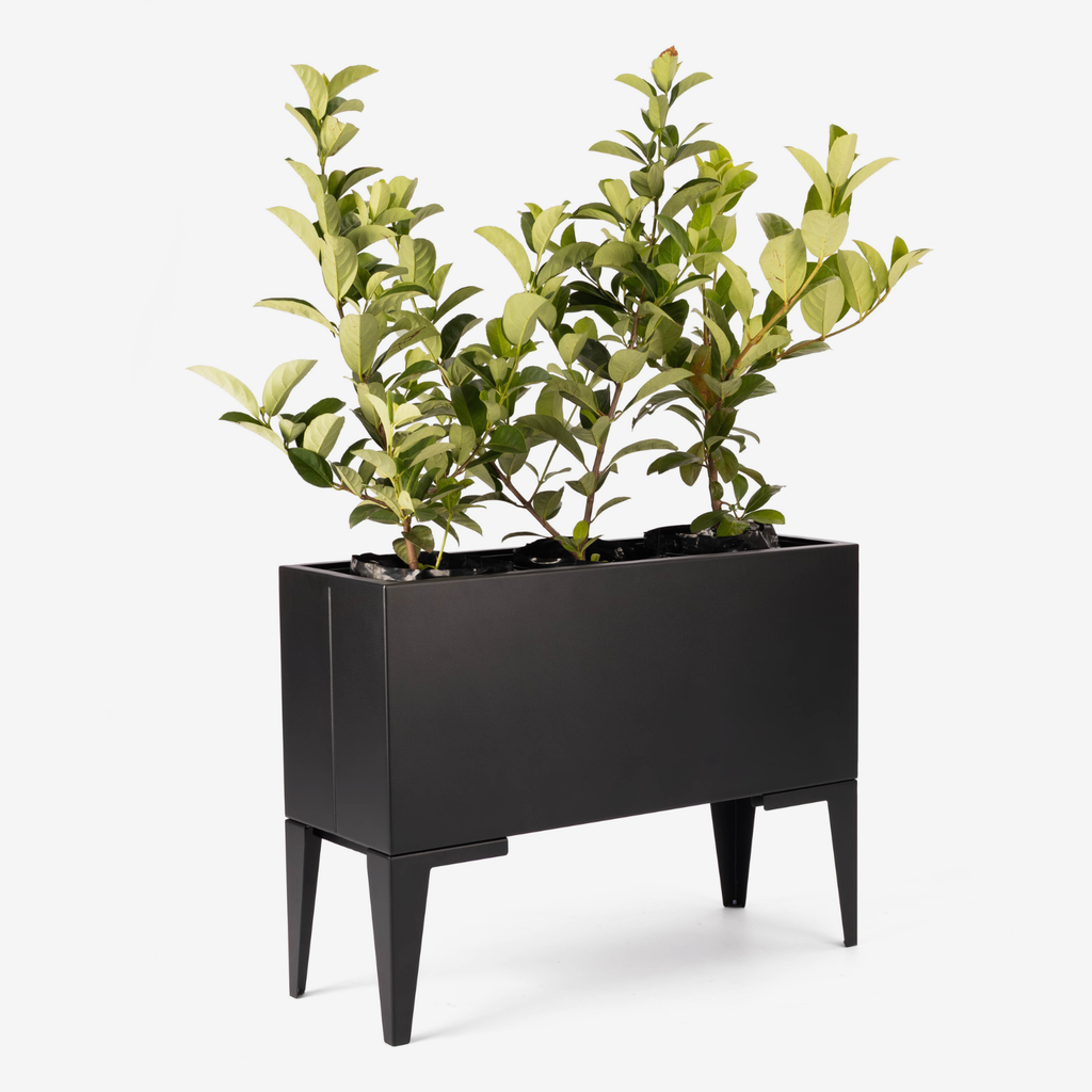 Ridge Planter - Black