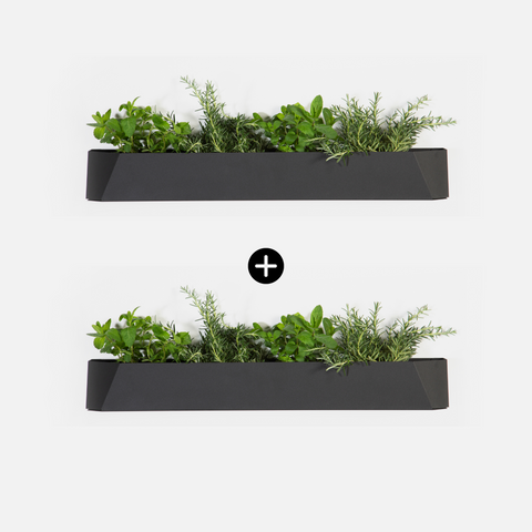 Herb Box - Set of Two