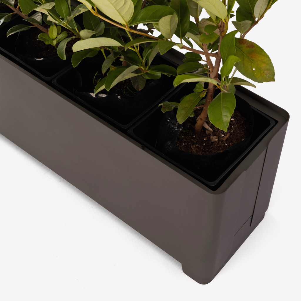 Soft Edge Planter - Umber Grey