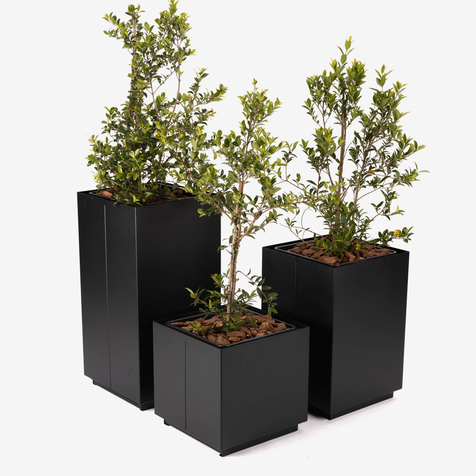 CUBE Planter - 80cm