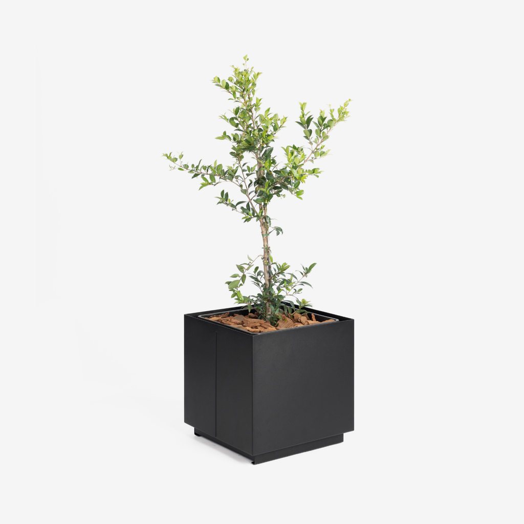 CUBE Planter - 40cm