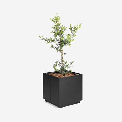 CUBE Planter - 40cm
