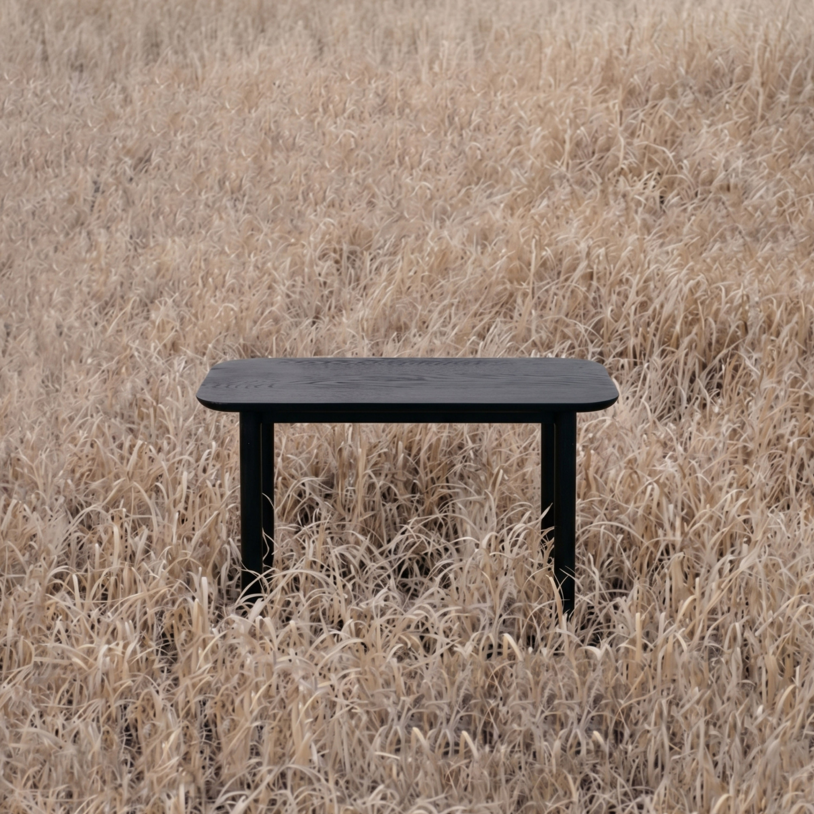 Akari End Table - Ebony Oak