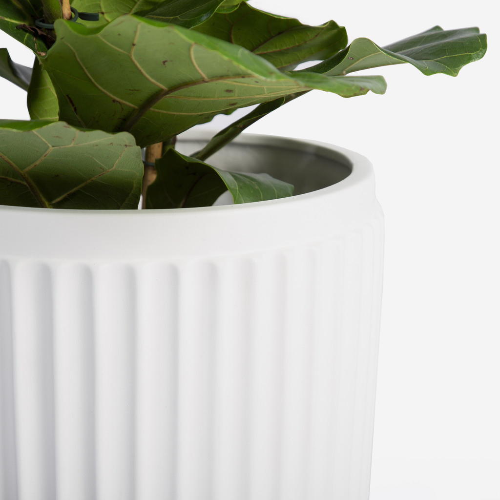 Paris Fluted Planter - White