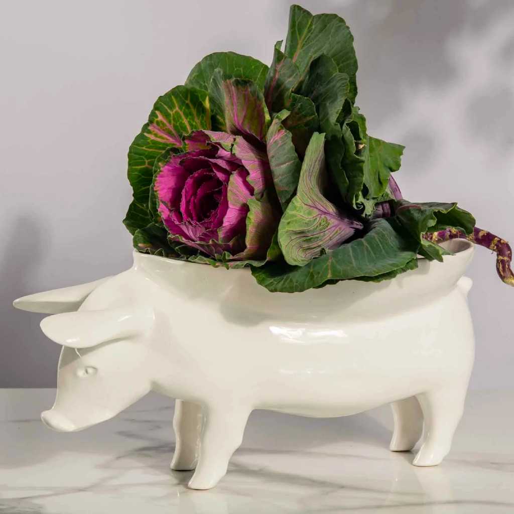 Pig Bowl - White