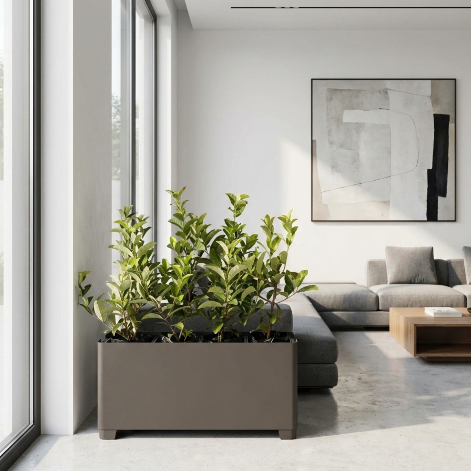 A Modern Planter in a modern home