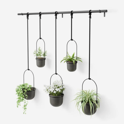 Triflora Hanging Planter 5 - Black