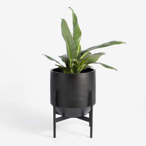 Venus Floor Planter - Steel Stand