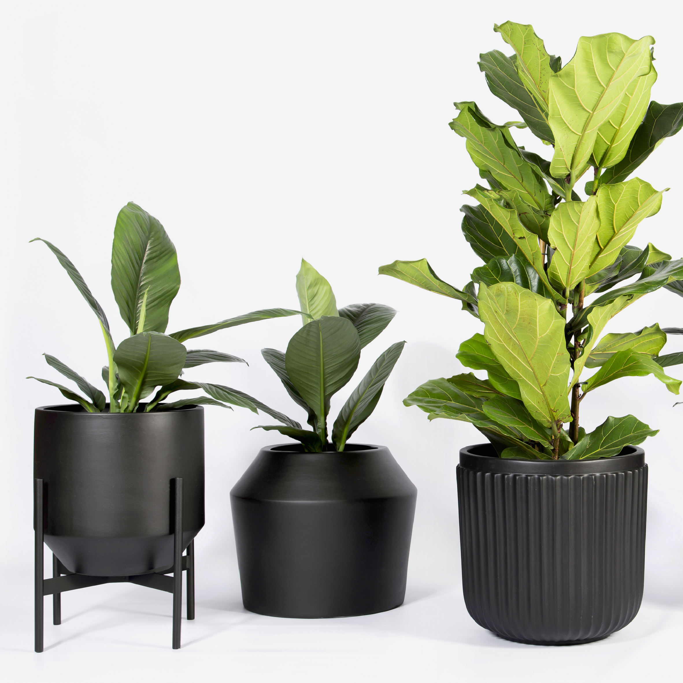 Venus Floor Planter - Steel Stand