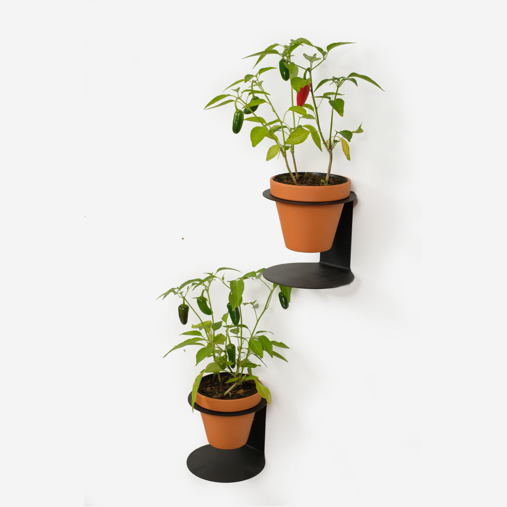 Halo Wall Planter - Black