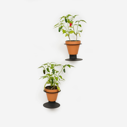 Halo Wall Planter - Black