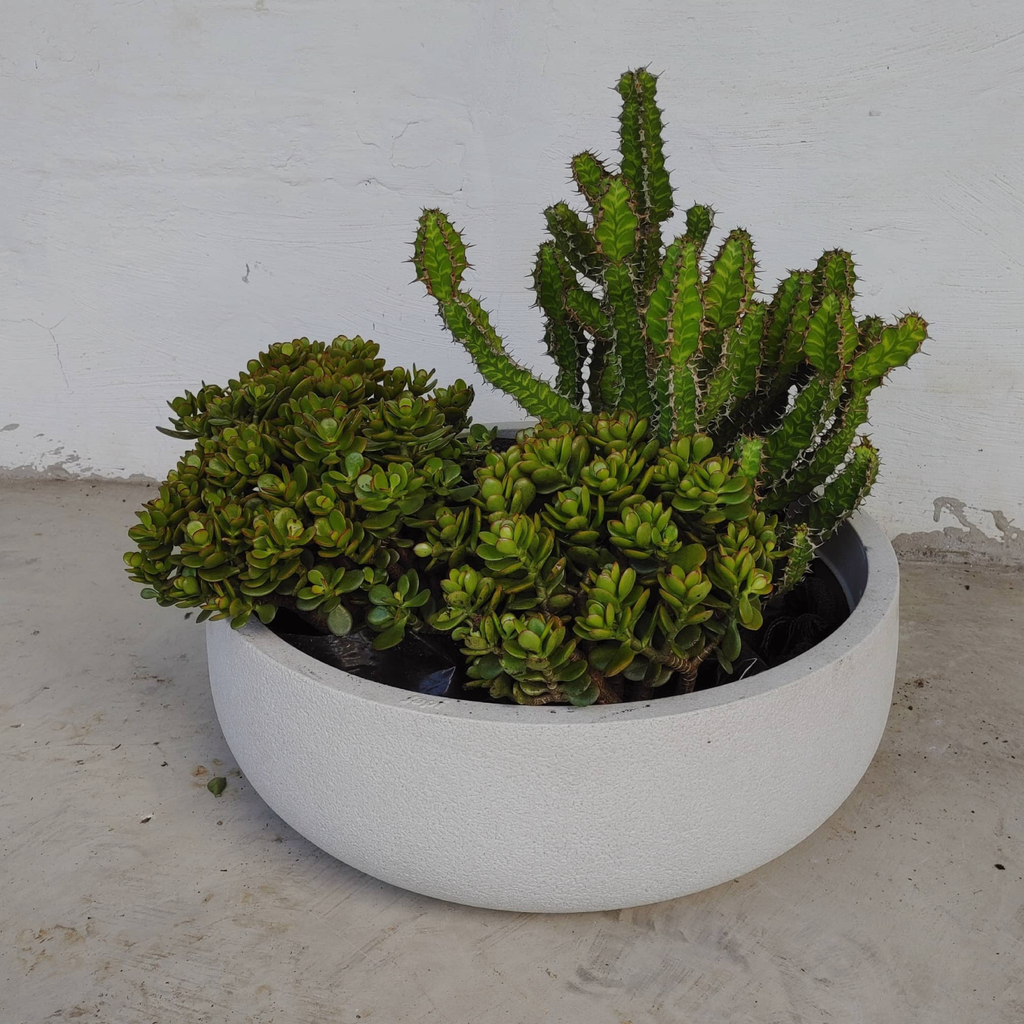 Deco Planter - Off White