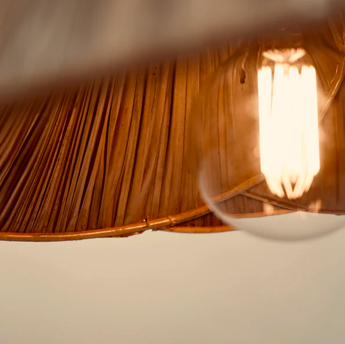 Palm Leaves Lampshade Pendant