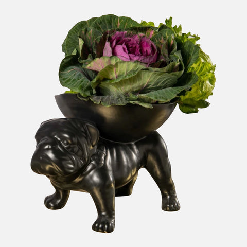 Brutus Bulldog Bowl - Black