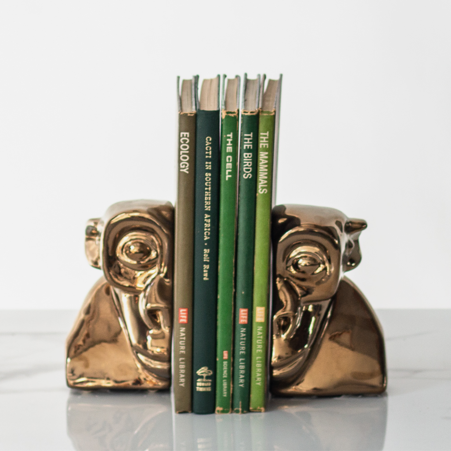 Evolution Man Bookends - Bronze