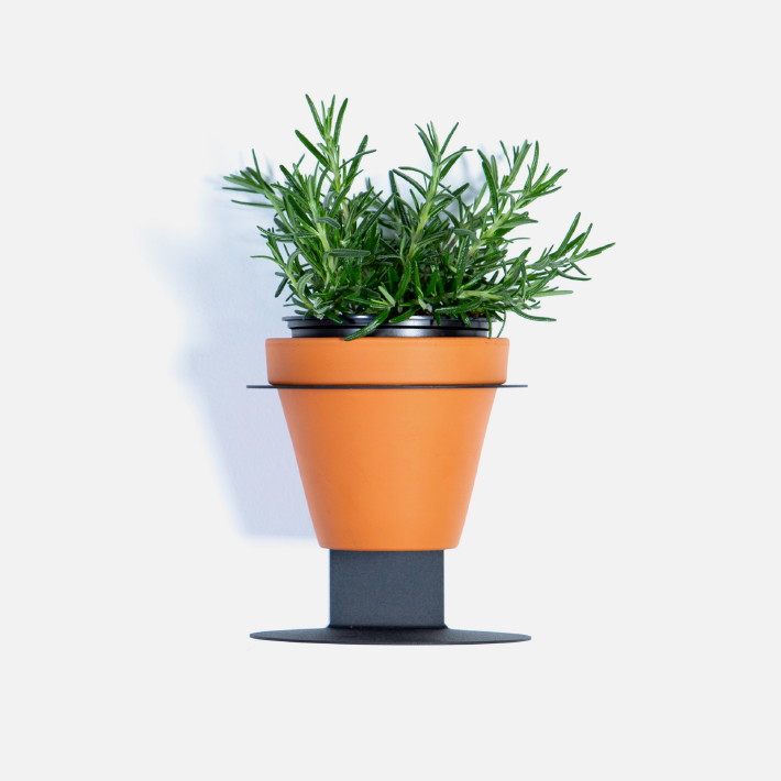 Halo Wall Planter - Black