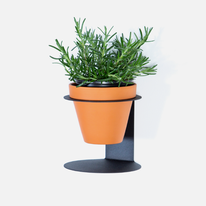 Halo Wall Planter - Black