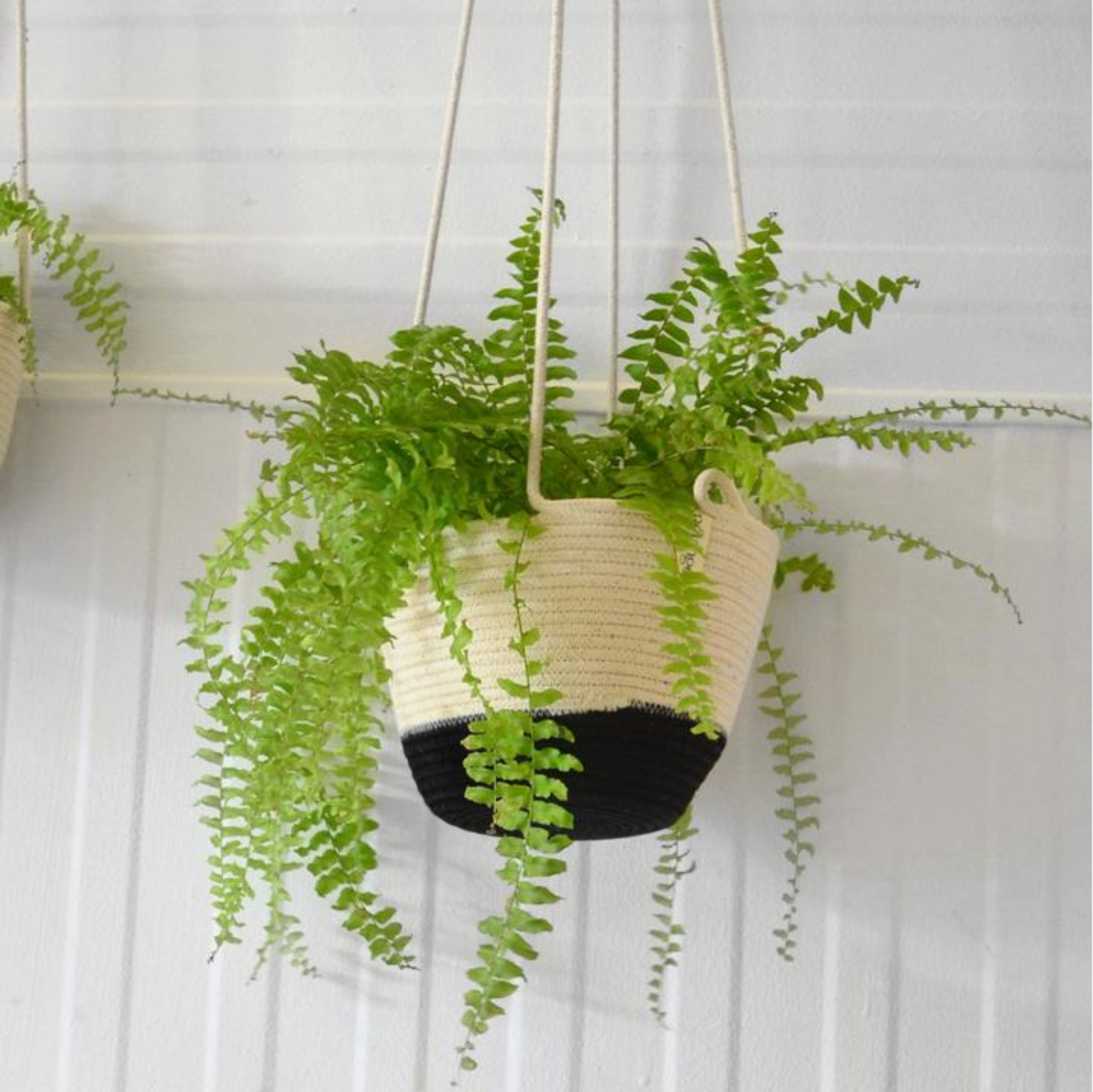 Hanging Planter - Black Block