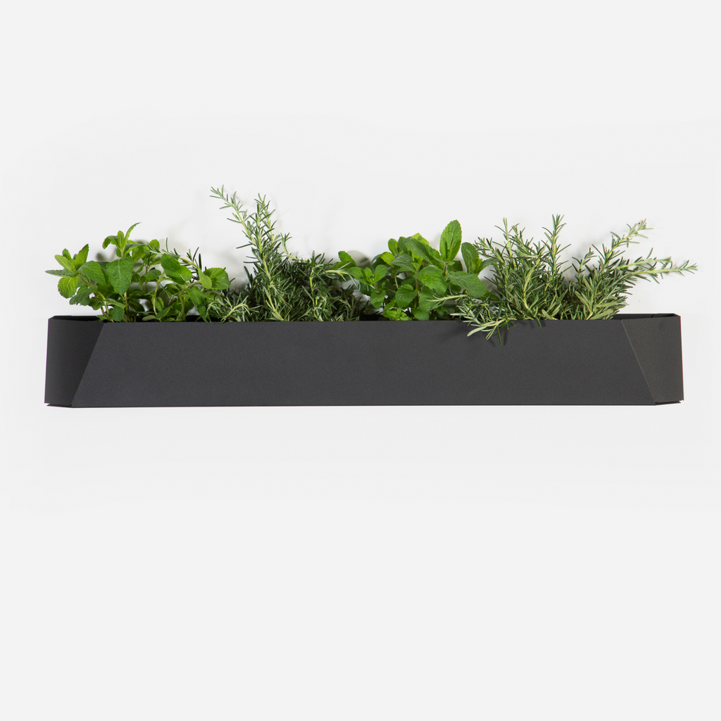 Herb Box - Black