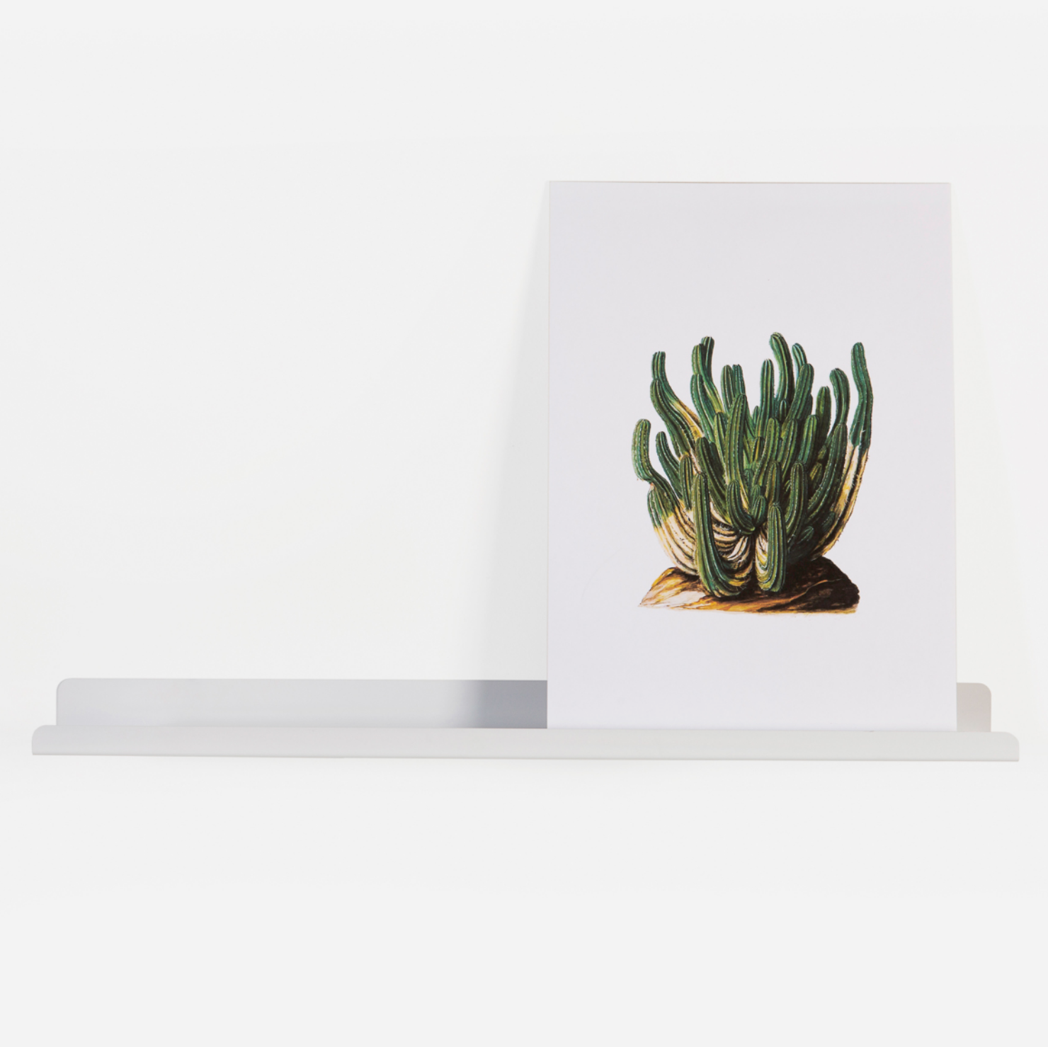 Lip Shelf Large 1100 - White