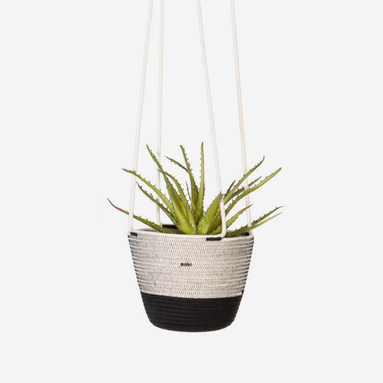 Hanging Planter - Liquorice