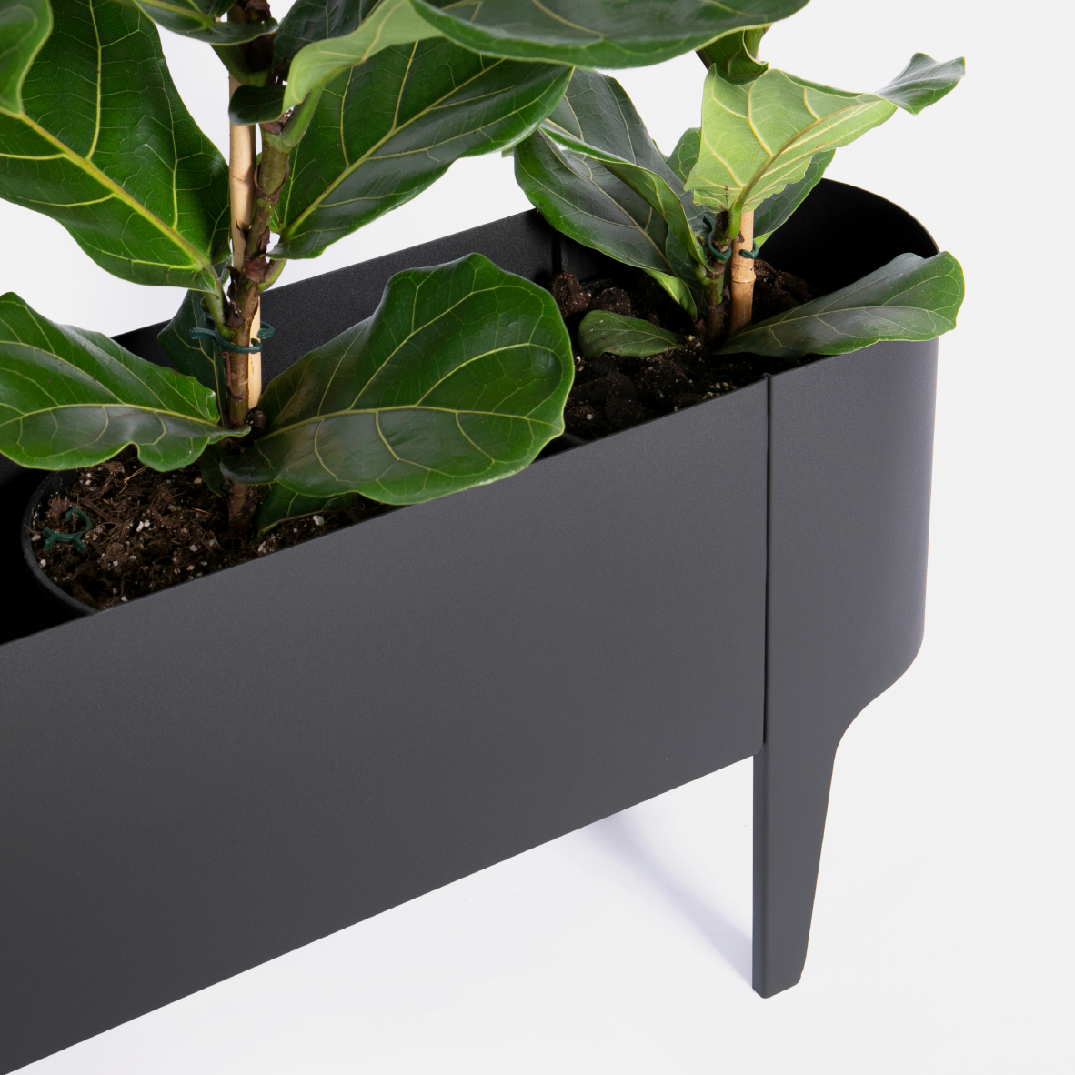 Orian Floor Planter