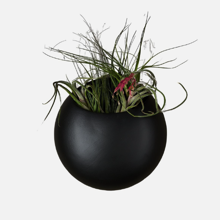 Pod Wall Planter - Black