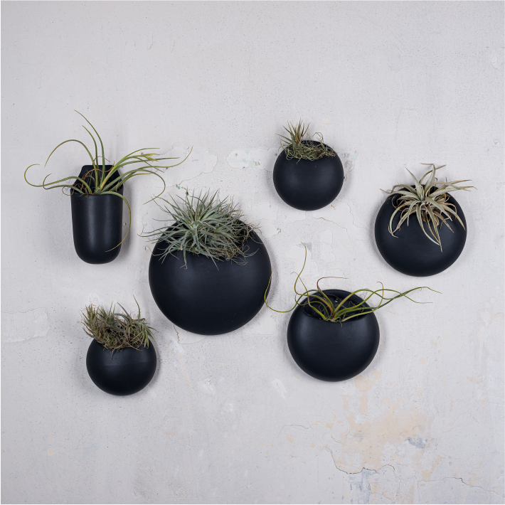 Pod Wall Planter - Black