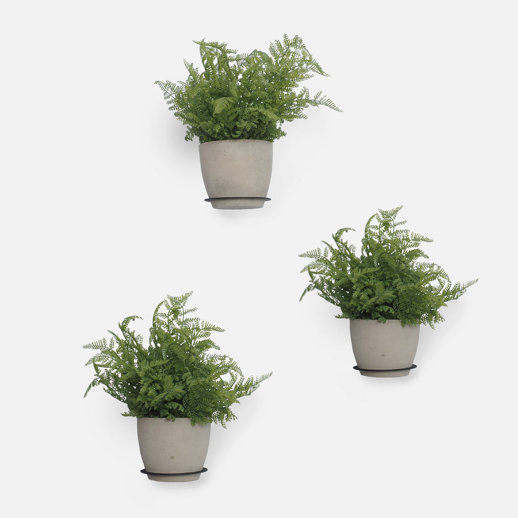 Pot Shelves - Set of 3