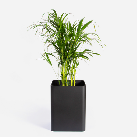 Square Sven Floor Planter