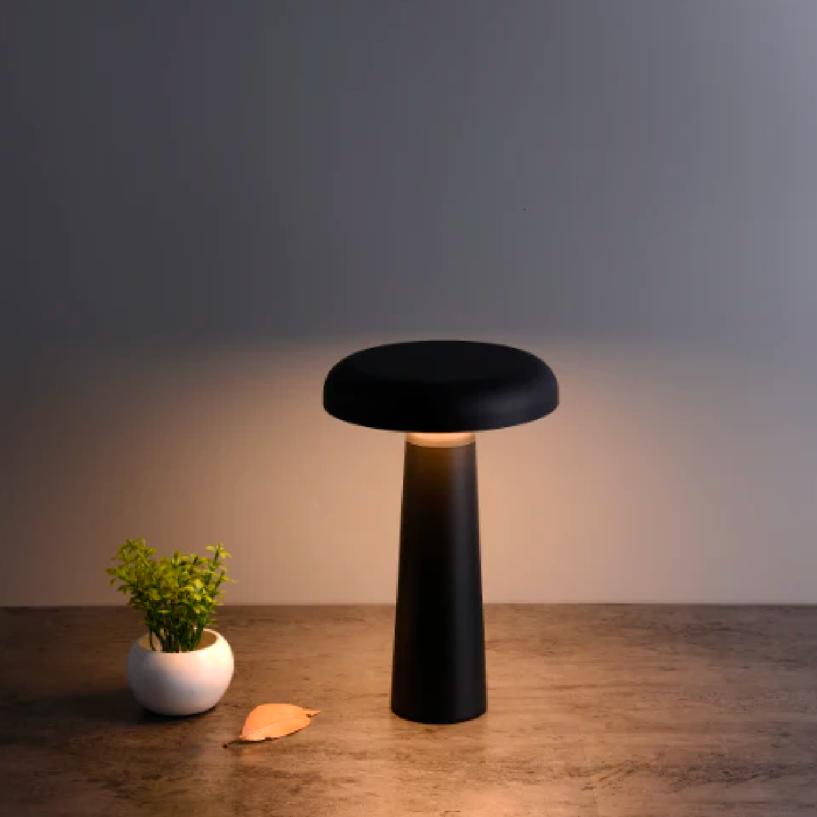 Boletus Rechargeable Table Lamp - Black