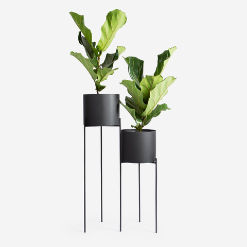 Aldo Twin Plant Stand