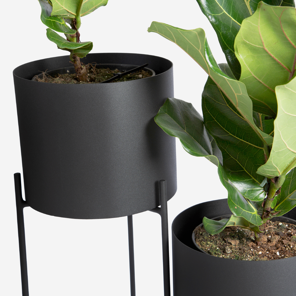 Aldo Twin Plant Stand