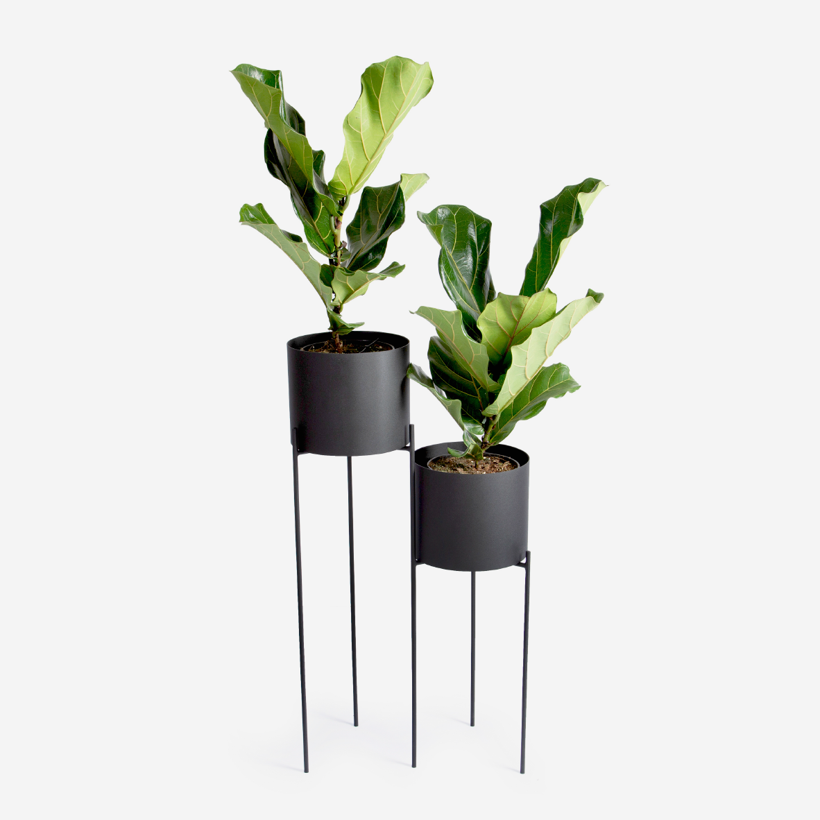 Aldo Twin Plant Stand