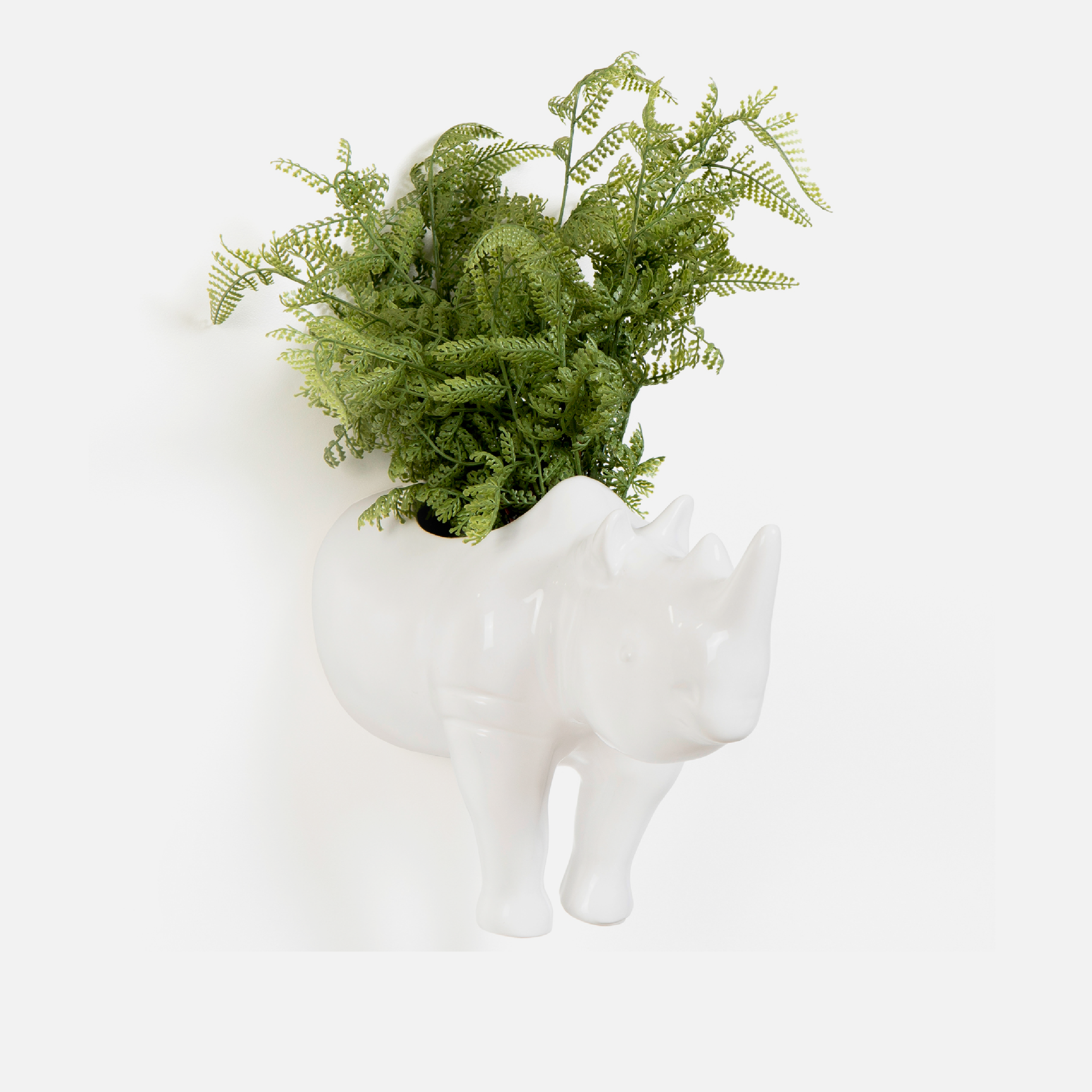 Rhino Wall Planter - Horn