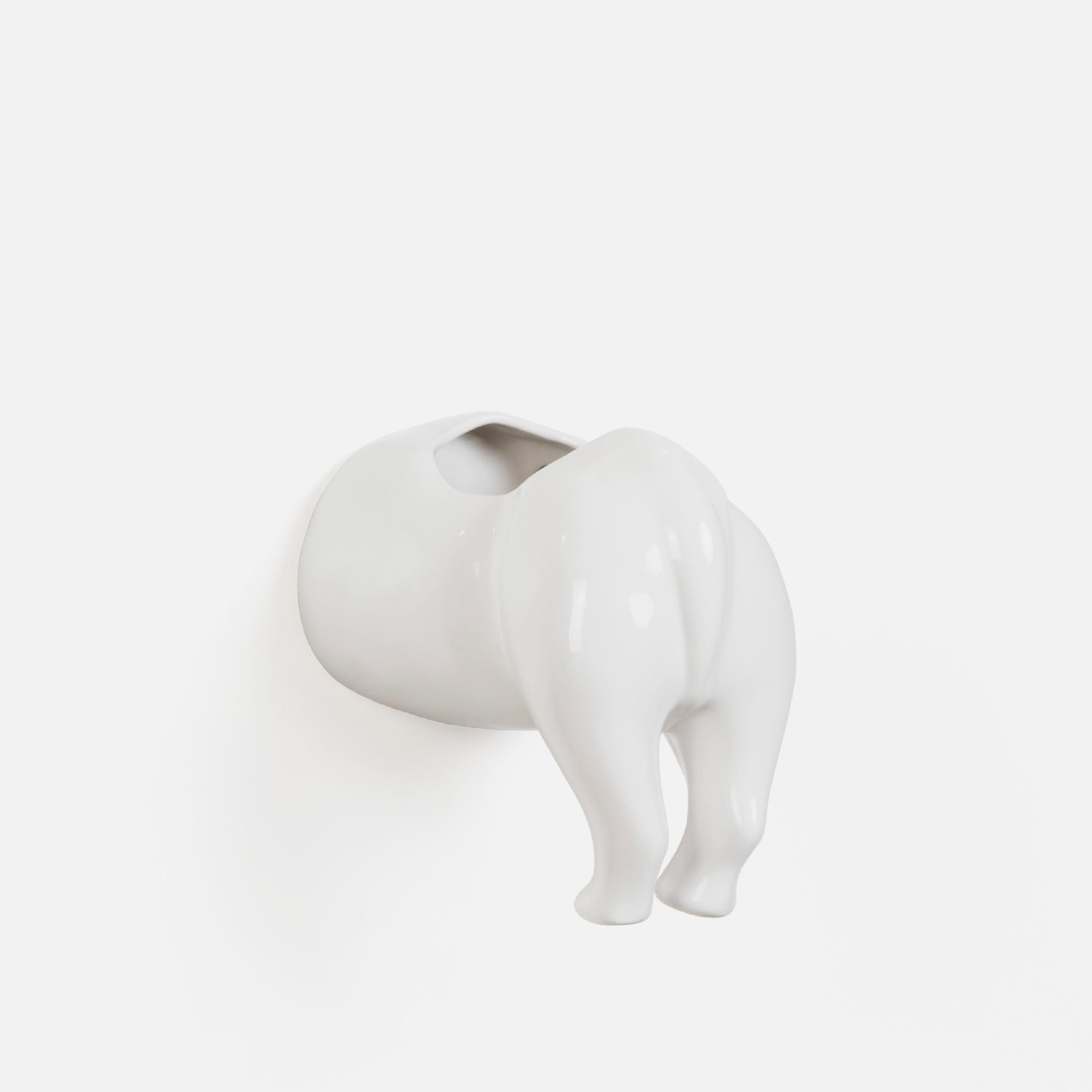 Rhino Wall Planter - Bum