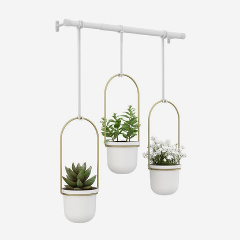 Triflora Hanging Planter - White & Brass